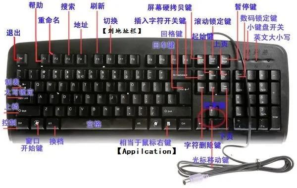 键盘常用15个功能键有哪些（电脑键盘按键的功能及作用） 第1张