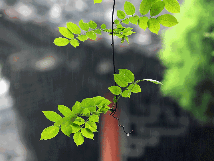 雨古诗词杜牧赏析（十首唯美唐宋雨诗赏析） 第1张