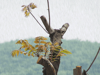 雨古诗词杜牧赏析（十首唯美唐宋雨诗赏析） 第3张