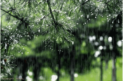 雨古诗词杜牧赏析（十首唯美唐宋雨诗赏析） 第7张
