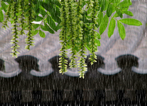 雨古诗词杜牧赏析（十首唯美唐宋雨诗赏析） 第19张