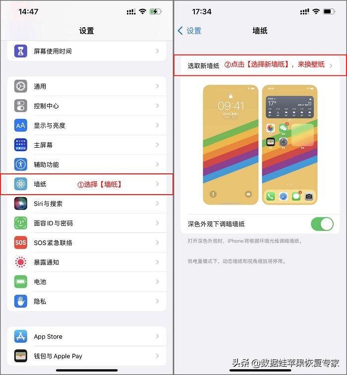 苹果手机怎么换壁纸和主题（iPhone换主题的方法） 第3张
