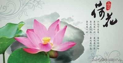 关于荷花的诗句古诗（荷花的唯美意境句子） 第1张