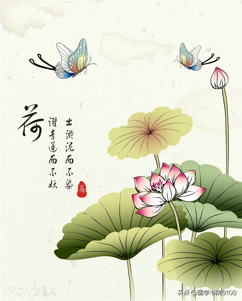 关于荷花的诗句古诗（荷花的唯美意境句子） 第3张