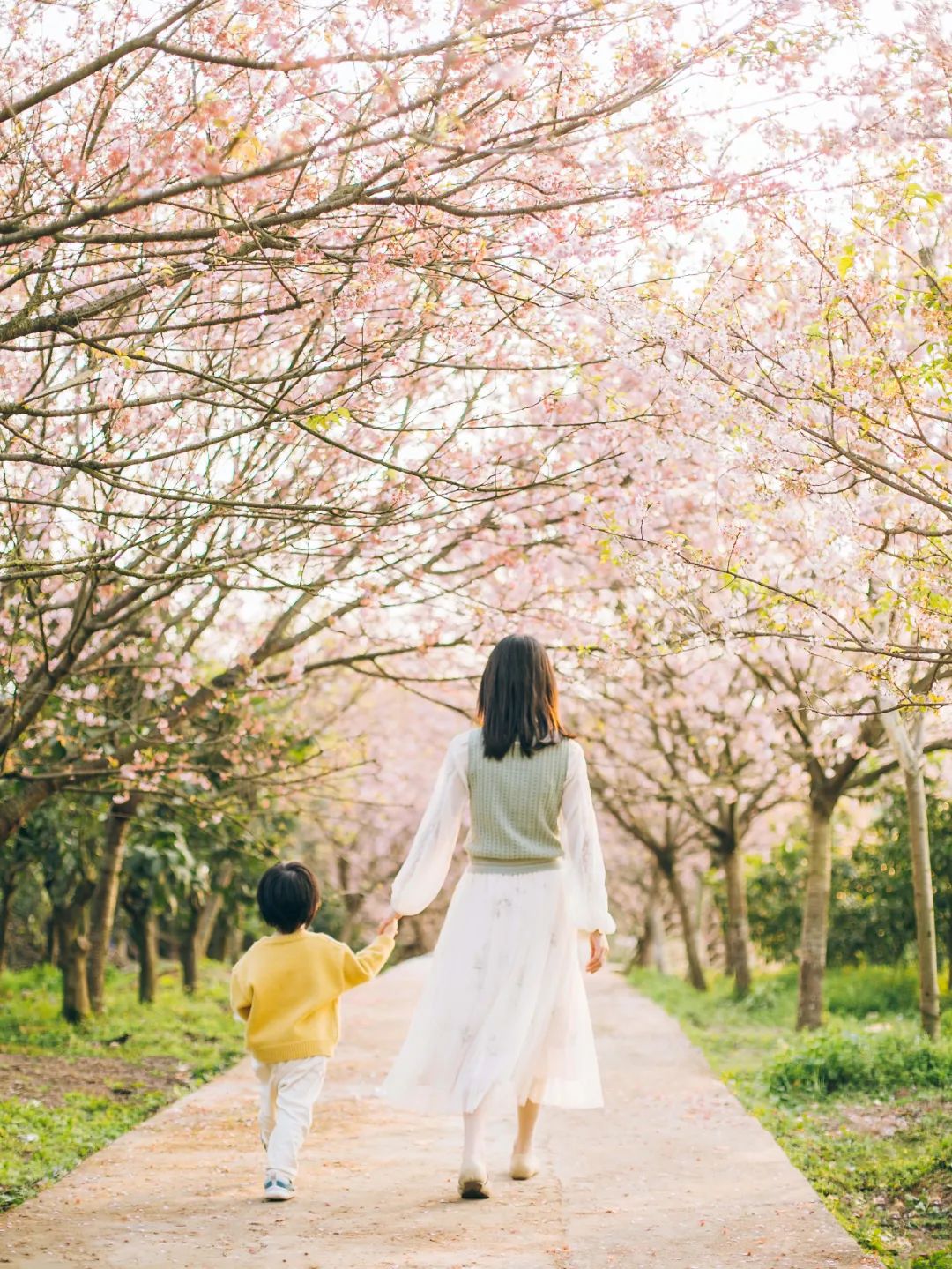 关于春游的句子摘抄（春游的句子唯美开头） 第13张