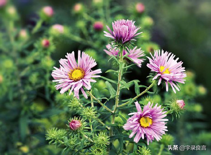 励志优美句子摘抄大全（很暖很治愈的短句） 第3张