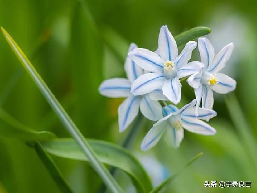 励志优美句子摘抄大全（很暖很治愈的短句） 第5张