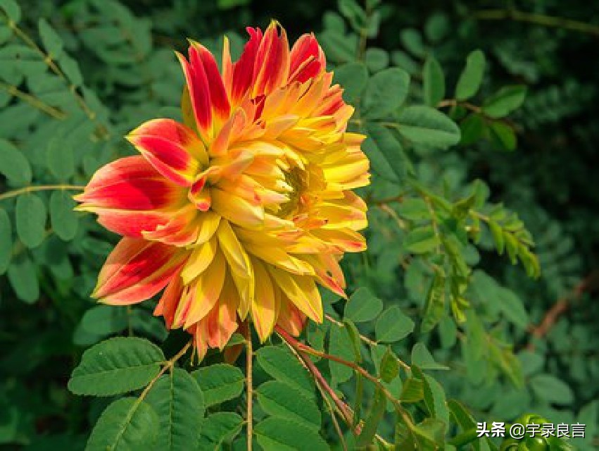 励志优美句子摘抄大全（很暖很治愈的短句） 第11张