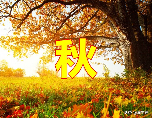 雾的成语有哪些（描写雾的优美句子） 第7张