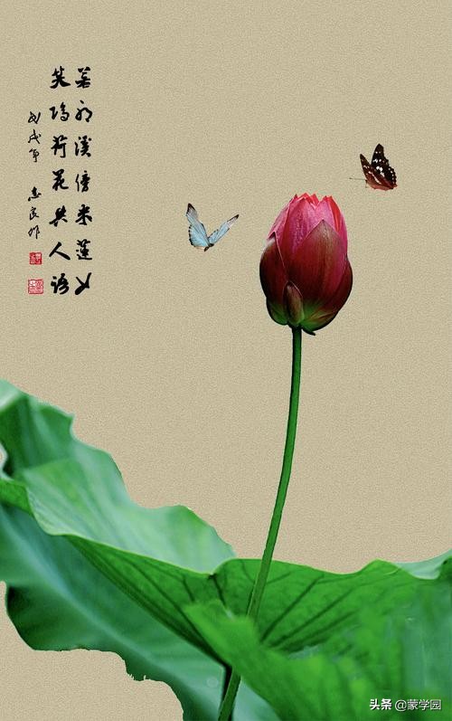 有关春天的诗句名言（描写春天的优美短句） 第7张