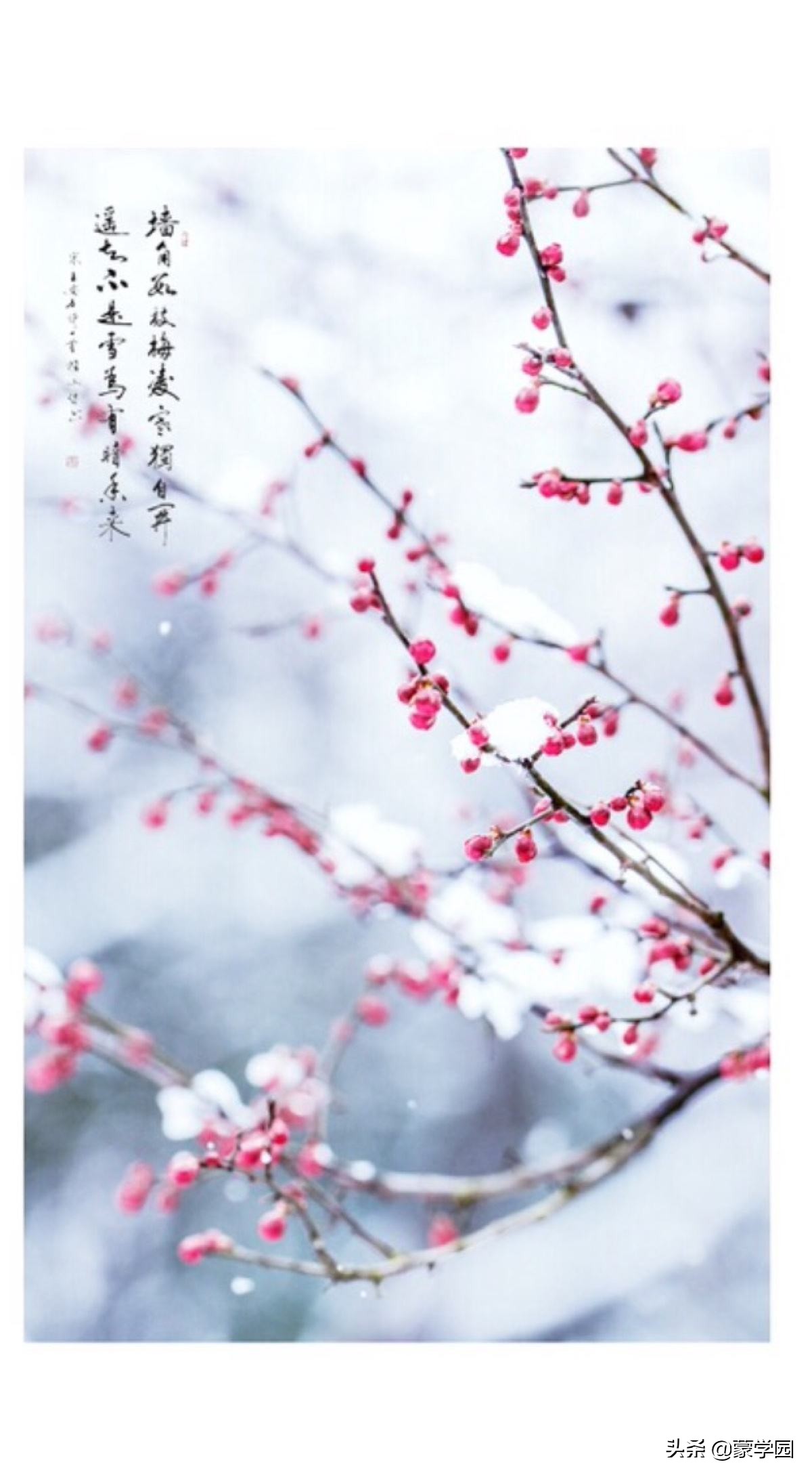 有关春天的诗句名言（描写春天的优美短句） 第13张
