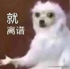 手机突然关机开不了机怎么办（手机黑屏打不开的原因） 第1张