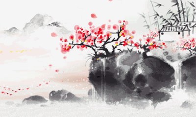 描写外貌的优美段落（外貌描写的好段摘抄） 第1张
