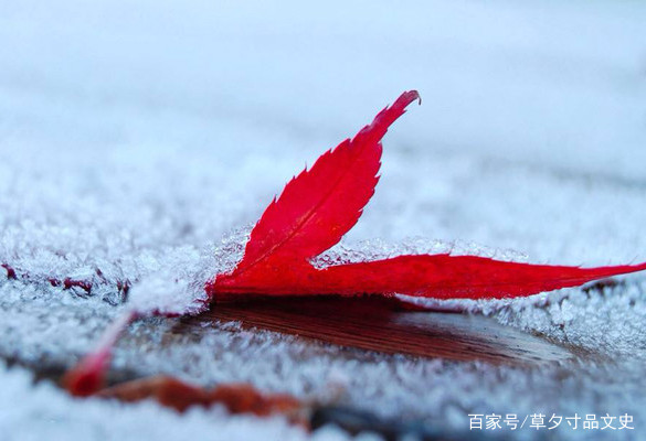 表达怀旧的经典诗句（形容有年代感的句子） 第3张
