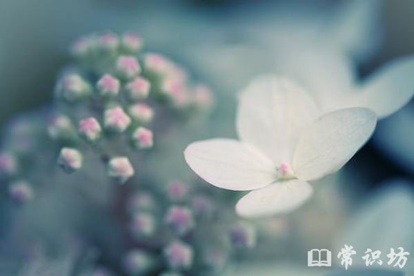 人生励志书籍排行榜（一生最值得读的十本书） 第9张