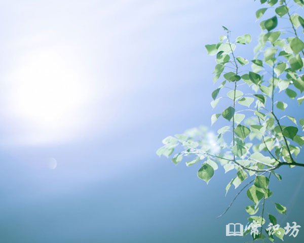 人生励志书籍排行榜（一生最值得读的十本书） 第15张