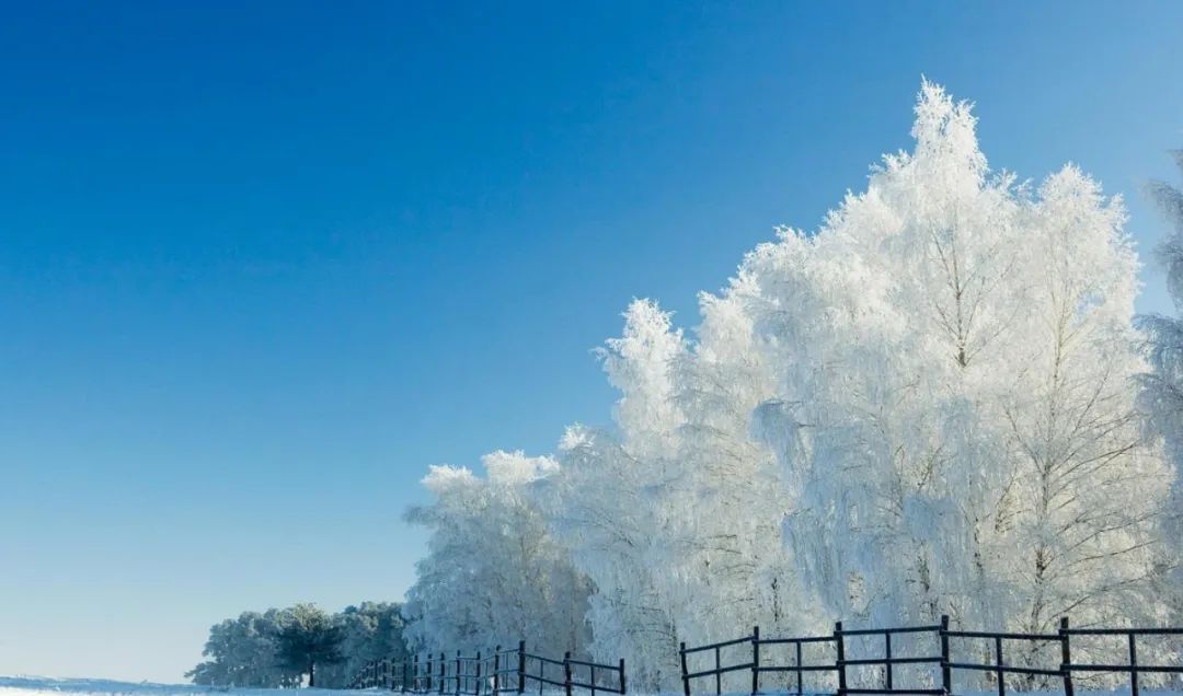 描写雪的诗句古诗大全（关于下雪的诗句古诗） 第3张