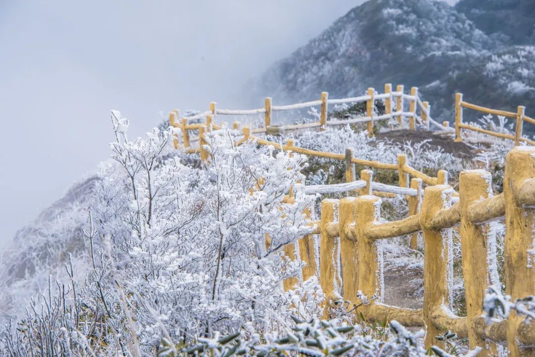 描写雪的诗句古诗大全（关于下雪的诗句古诗） 第19张