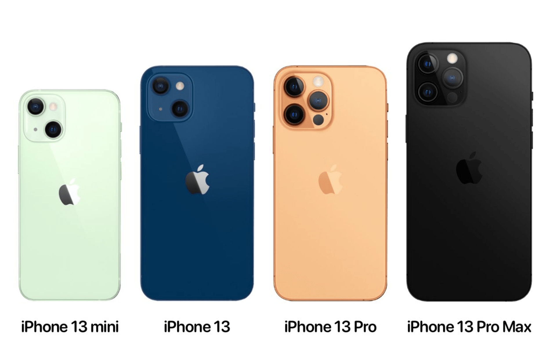 苹果手机13系列哪款性价比高（iPhone 13系列选购指南） 第1张
