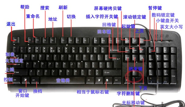 电脑键盘全图详细（电脑键盘各键名称及功能） 第3张