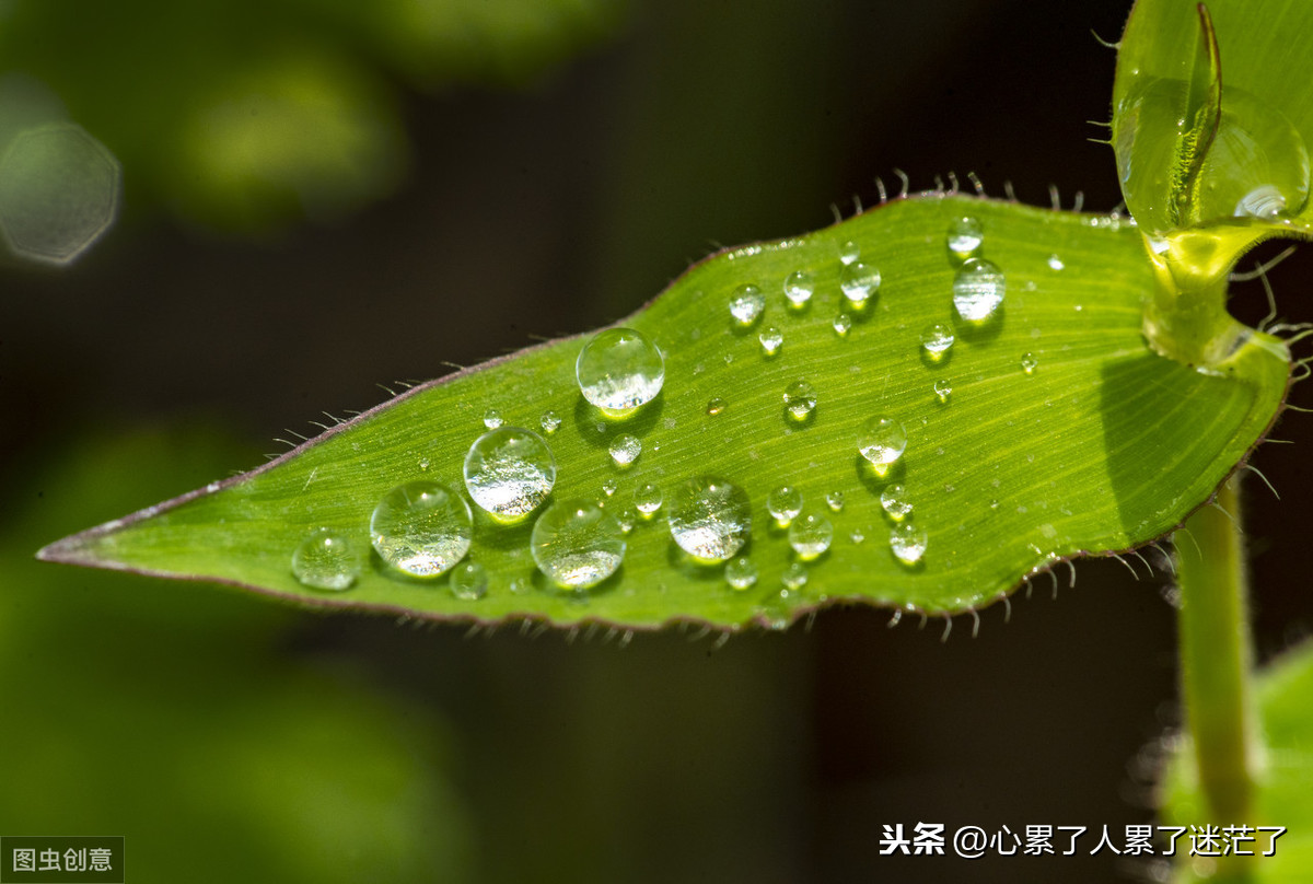 遇到对的人经典语录（很走心的干净短句） 第1张