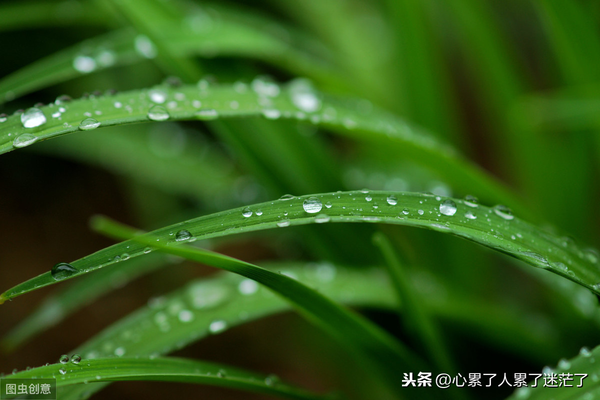遇到对的人经典语录（很走心的干净短句） 第3张