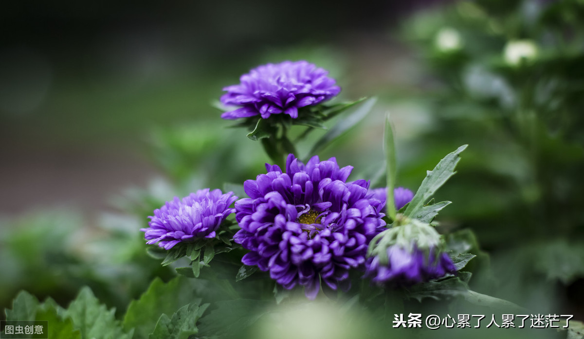 遇到对的人经典语录（很走心的干净短句） 第5张