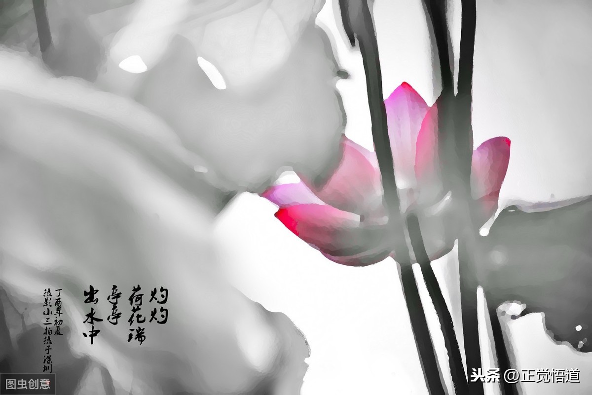 形容孝顺父母的句子是什么（孝顺父母的经典诗句） 第7张