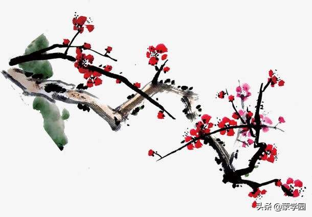 写梅的诗句有哪些（关于描写梅花的古诗大全） 第1张
