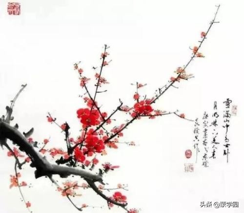 写梅的诗句有哪些（关于描写梅花的古诗大全） 第3张