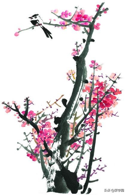写梅的诗句有哪些（关于描写梅花的古诗大全） 第7张