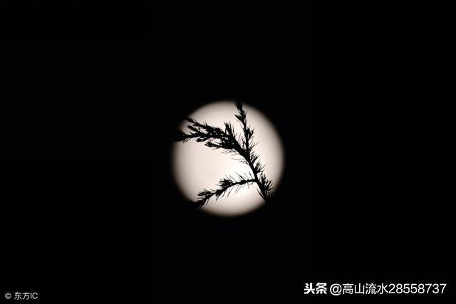 江城子记梦苏轼赏析（江城子记梦苏轼原文） 第1张