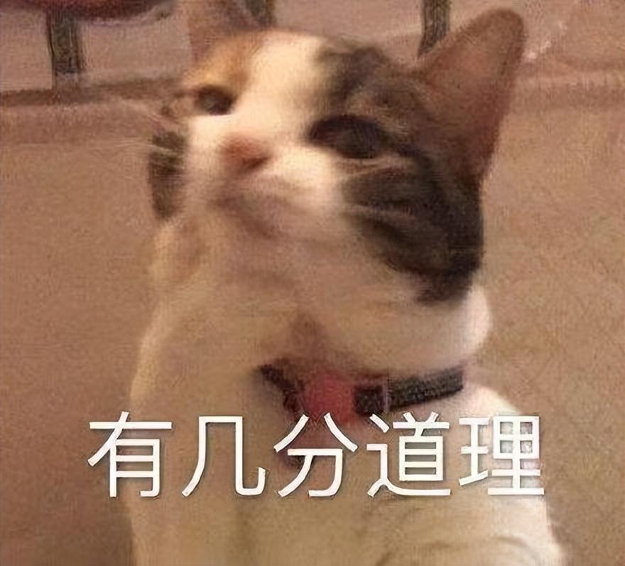 华为mate系列哪款性价比高（华为最香的性价比神机） 第23张