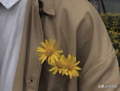 有关我们毕业的句子说说（关于毕业季的15条心情语录） 第1张