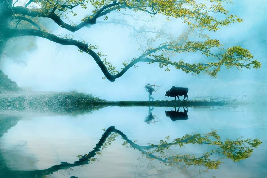 描写乡村田园的诗句（最著名的9首田园诗） 第5张