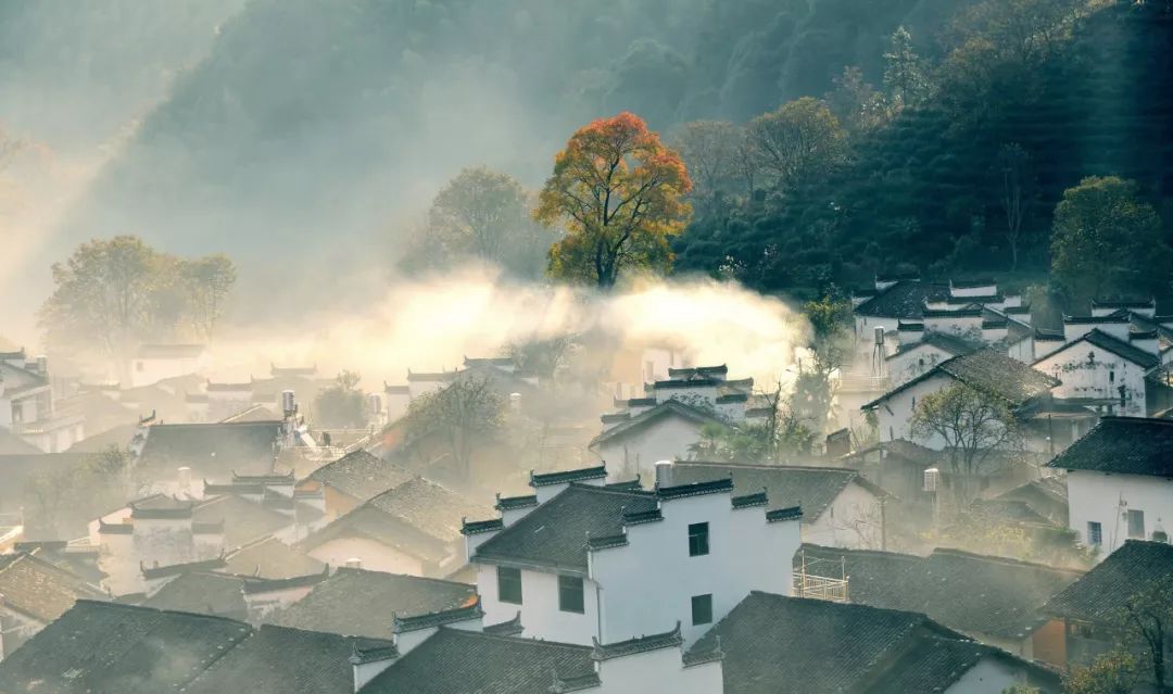 描写乡村田园的诗句（最著名的9首田园诗） 第15张