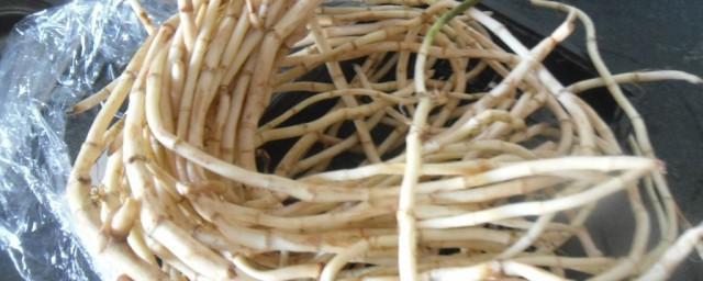 折耳根怎样做不腥 第1张