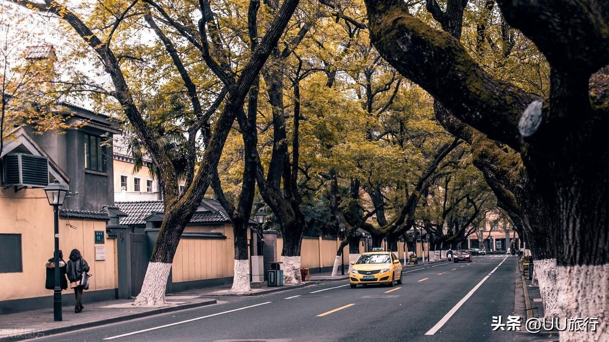 南京旅游必去十大景点推荐（南京最值得去的10个地方） 第15张