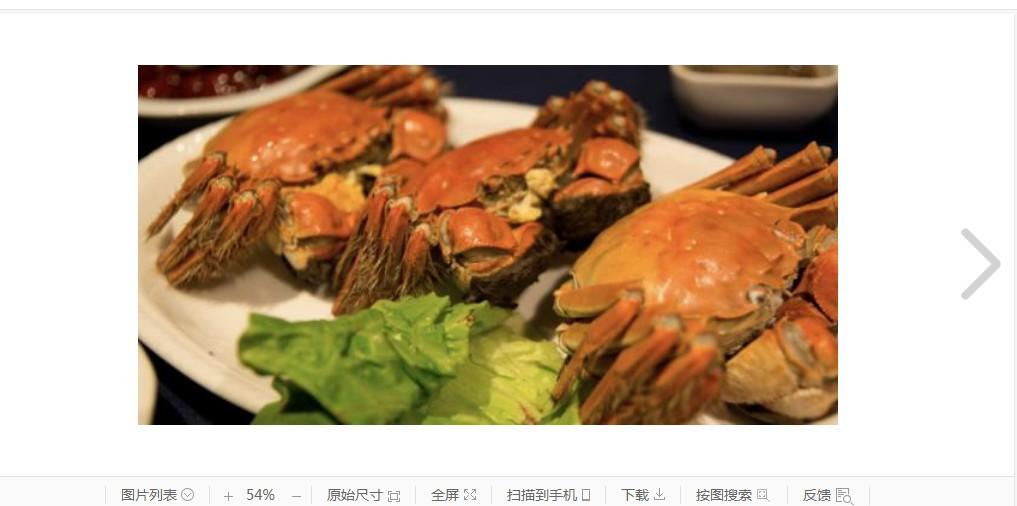 大闸蟹活的怎么保存时间长 第1张