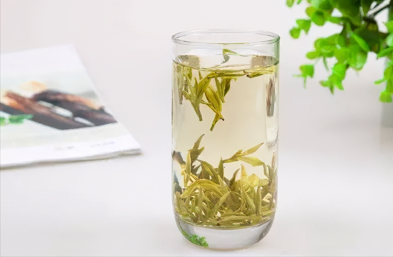 白茶的泡法及冲泡技巧（关于白茶的冲泡和煮茶技巧） 第13张