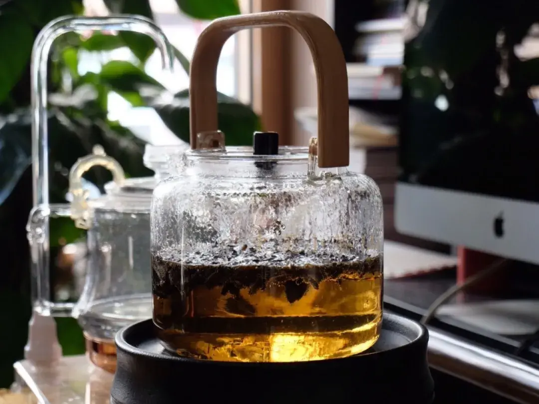 白茶的泡法及冲泡技巧（关于白茶的冲泡和煮茶技巧） 第19张