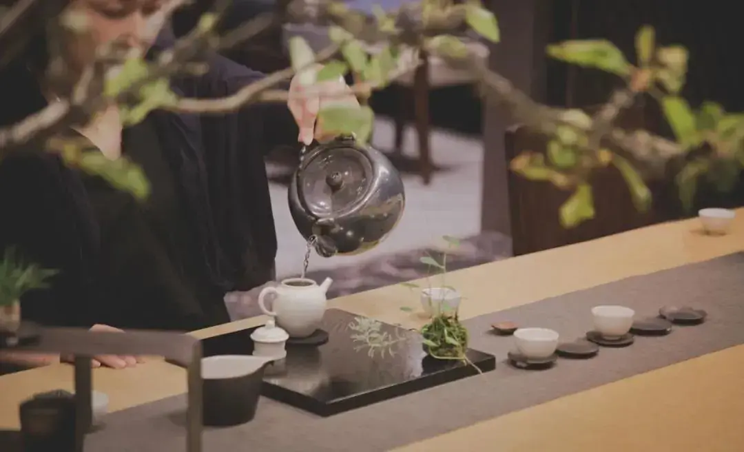 白茶的泡法及冲泡技巧（关于白茶的冲泡和煮茶技巧） 第25张