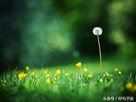 看淡一切的经典句子（有深度有涵养的句子） 第3张