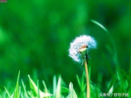 看淡一切的经典句子（有深度有涵养的句子） 第9张