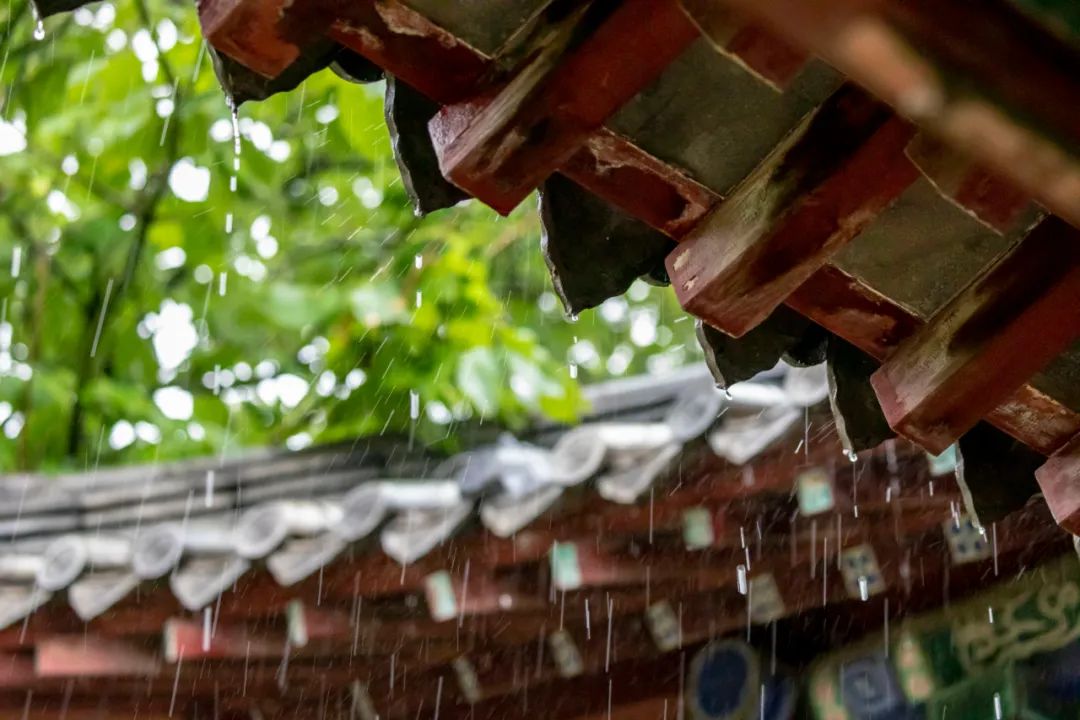 形容天气炎热的成语（描写夏天炎热的成语） 第21张