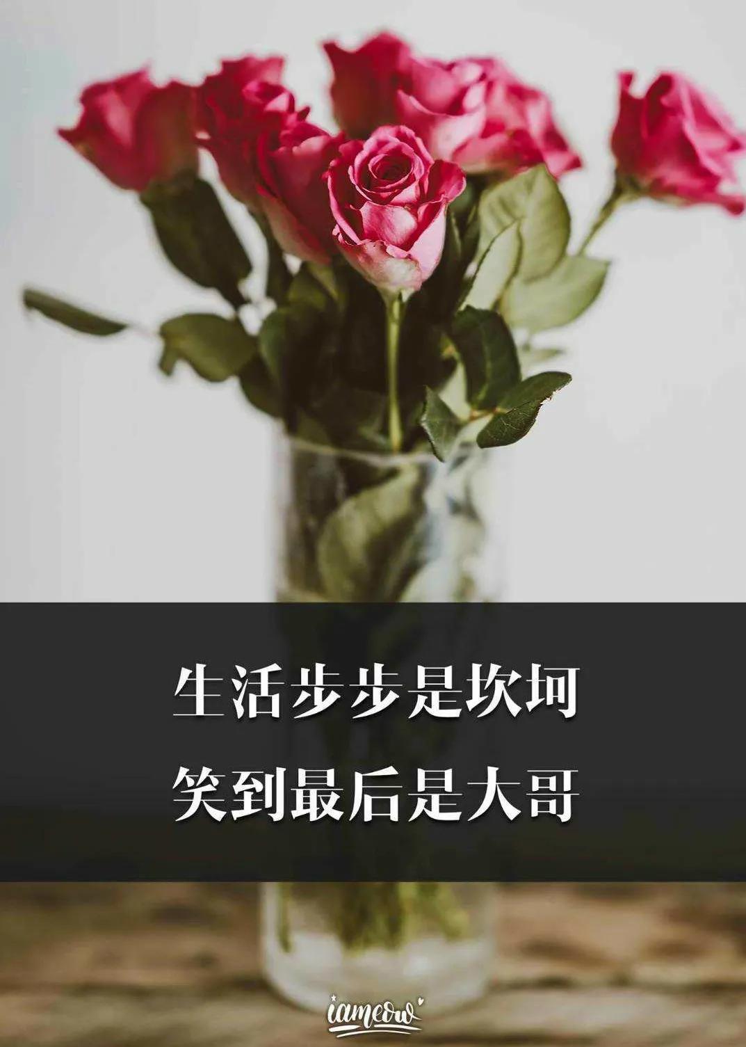 致自己的短句发朋友圈（句句深入人心的经典句子） 第7张