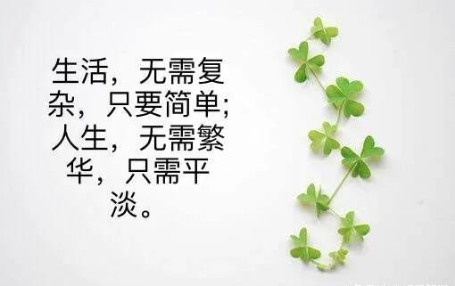 致自己的短句发朋友圈（句句深入人心的经典句子） 第11张