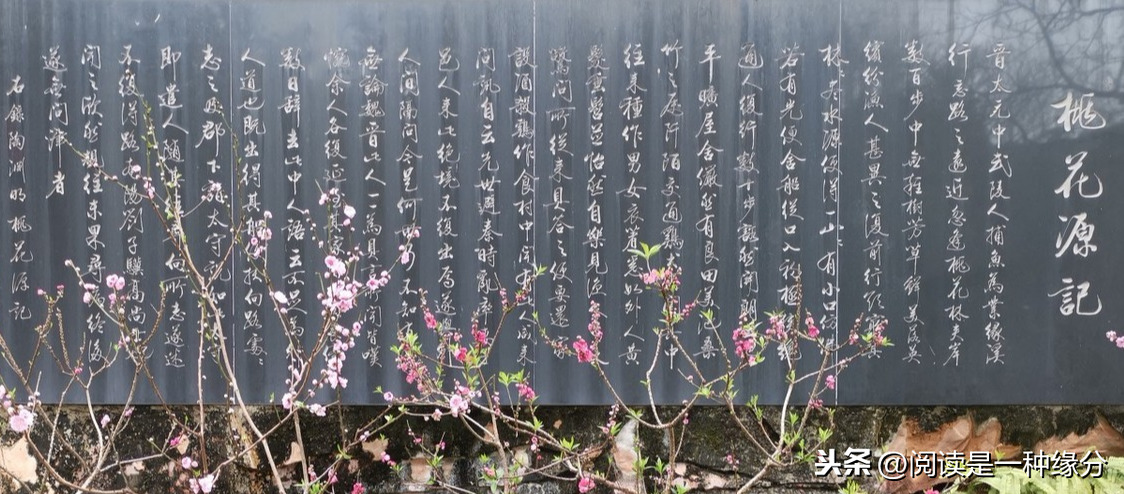 桃花源记全文赏析（陶渊明文言文赏析） 第1张