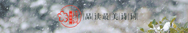 描写梅花的诗句及赏析（关于梅花的宋词赏析） 第1张