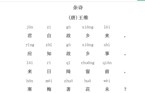 杂诗其二唐王维的诗（杂诗其二君自故乡来译文） 第1张